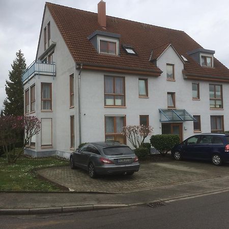 Ferienwohnung Lavate 2 Orschweier Екстериор снимка